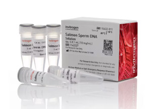 UltraPure™ Salmon Sperm DNA Solution - 5 x 1mL - 15632011