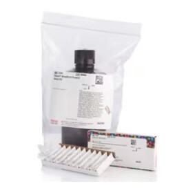 Pierce™ Bradford Protein Assay Kit - 950mL - 23200