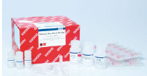 RNeasy Plus Micro Kit (50) - 74034