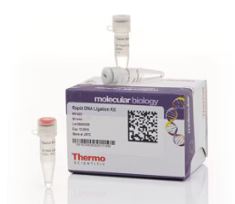 Rapid DNA Ligation Kit - 50 rxns - K1422