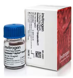 Invitrogen™ Dynabeads™ MyOne™ Streptavidin C1, 2mL, 65001
