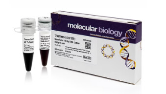 GeneRuler 100 bp DNA Ladder, ready-to-use - 50ug - SM0243