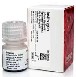 Invitrogen™ Dynabeads™ Protein A for Immunoprecipitation - 5mL - 10002D