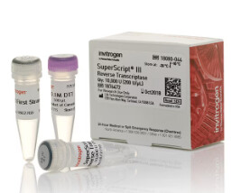 Superscript III Reverse Transcriptase 10,000u