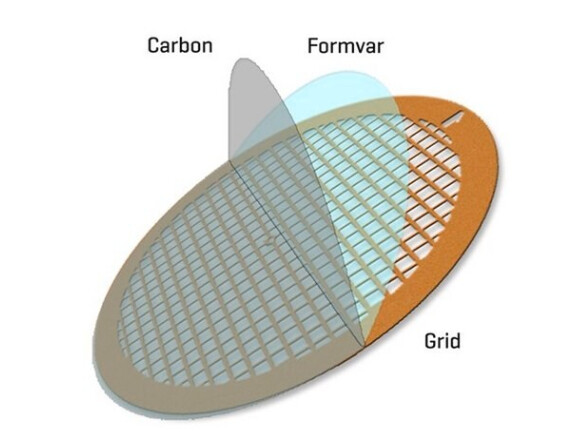 Formvar/Carbon Supported Copper Grids - 200 mesh - BX of 50 - 930245-1EA