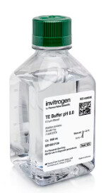 TE, pH 8.0, RNase-free - 1L -  AM9858