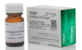 Proteinase K, recombinant -100mg - 25530015