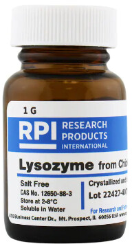 Research Products International Corp Lysozyme from Chicken Egg White, Salt Free, 1 Gram - 50-488-779
