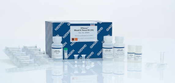 DNeasy Blood &amp; Tissue Kits - Mini - 50preps - 69504