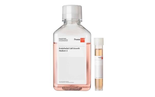 Promocell GmbH PromoCell Endothelial Cell Growth Medium 2 500 ml, ready-to-use, low serum, with Supplement Mix C-39216 attached to the flask Supplier:  Promocell GmbH C22011 500ml Catalog:50-306-189