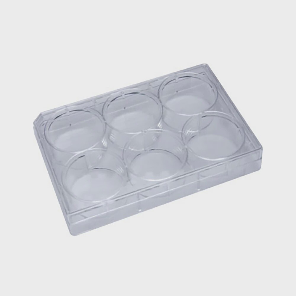 25-105P GenClone , 6-Well Cell Culture Plate Flat Bottom Wells, TC Treated, 1 Plate/EACH