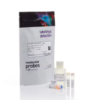 Invitrogen™ Qubit™ dsDNA Quantification Assay Kits - 100 assays - High Sensitivity - 0.1 to 120 ng - 100 Reactions - Q32851