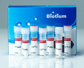 CF®550R Dye Maleimides - 1umol - 96074