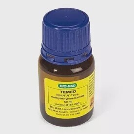 TEMED 50ml #1610801 BRAD3278