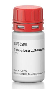 D-Ribulose 1,5-bisphosphate sodium salt hydrate - 10mg - R0878-10MG