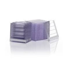 Invitrogen™ Empty Gel Cassettes, mini, 1.0 mm 25/pkg  Catalog number: NC2010