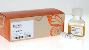 NEB BL21(DE3) Competent E. coli, 20x0.05ml -  C2527H