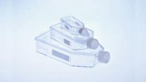 CELLSTAR© Suspension Culture Flasks, Filter Screw Cap, Hydrophobic Surface, Sterile, Greiner Bio-One 	82051-078 10/bagCONS5420P