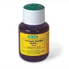 2x Laemmli Sample Buffer #1610737