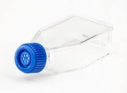 Fisherbrand™ Surface Treated Sterile Tissue Culture Flasks, Vented Cap - 10/Bag FB012935 CONS5425BAG