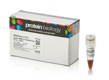 Thermo Scientific™ Spectra™ Multicolor Broad Range Protein Ladder - 10x250uL - PI-26623