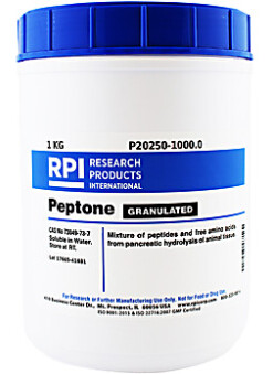 RPI Peptone, Granulated - 1kg - P20250-1000.0/50-488-898