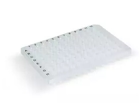 Hard-Shell® 96-Well PCR Plates, high profile, semi skirted, clear/clear #HSS9601