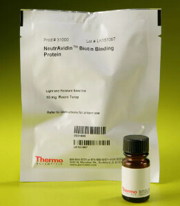 Thermo Scientific™ NeutrAvidin Protein - 10mg - Solid - PI31000/31000
