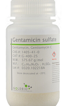 Gentamicin Sulfate, USP Grade, 1g - G-400-1
