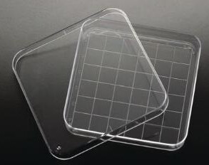 Square Petri Dish with Grid, Electron Microscopy Sciences, CS of 500 - 70691-CS/102097-178