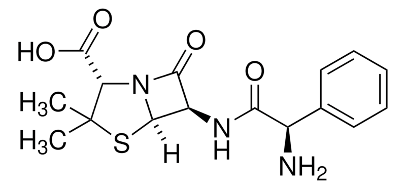 Ampicillin - A9393-5G