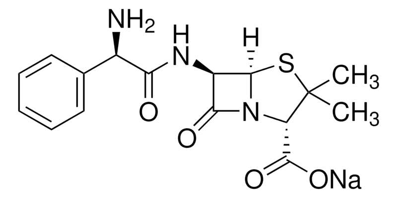 Ampicillin Sodium Salt 5g