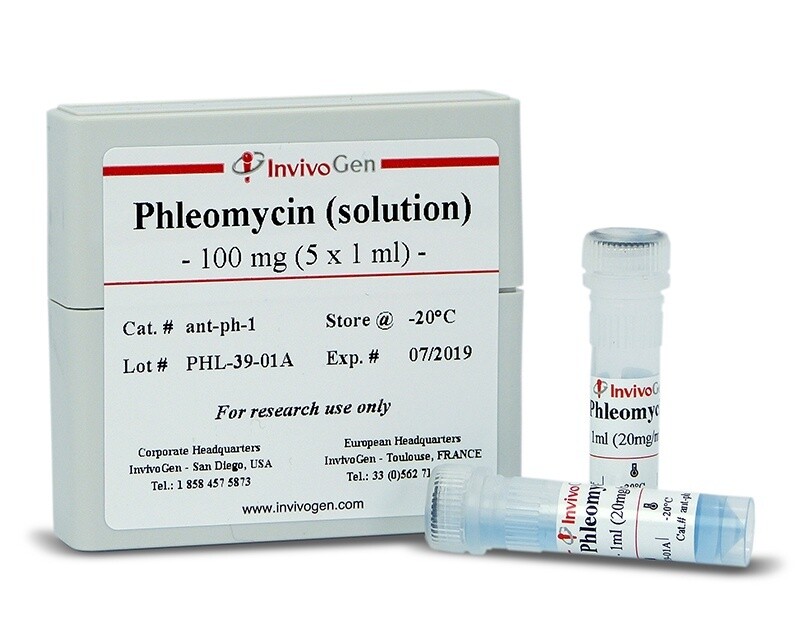 Phleomycin solution - 100mg (5x1ml) - ANT-PH-1