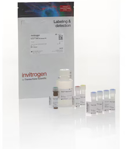 Qubit™ RNA IQ Assay Kits, 75 Assays - Q33221