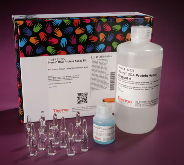 Pierce™ BCA Protein Assay Kit - 23227 - 500mL