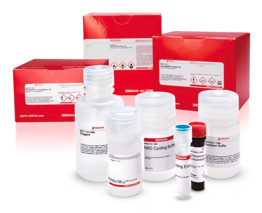 Lipopolysaccharide (LPS) Isolation Kit - MAK339 - 1KT