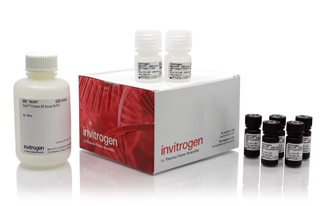 Invitrogen™ Qubit™ Protein and Protein Broad Range (BR) Assay Kits - A50669