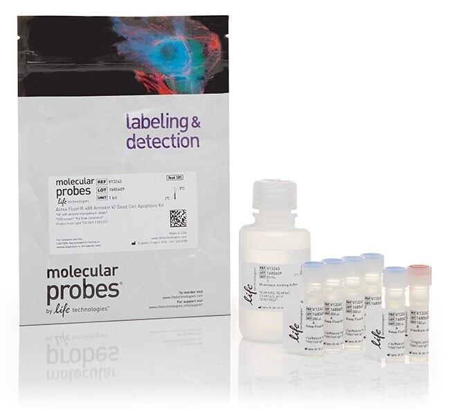 Dead Cell Apoptosis Kits with Annexin V for Flow Cytometry - 250 Assays - Alexa Fluor 488, Propidium Iodide - V13245