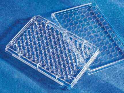 Corning® 96 Well EIA/RIA Assay Microplate - 100EA - CLS9017-100EA