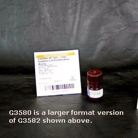 CellTiter 96 AQueous One Solution Cell Proliferation Assay, Promega - 1,000 Assays - 20mL - PAG3580 (G3580)