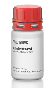 Cholesterol - 500mg - C8667-500MG