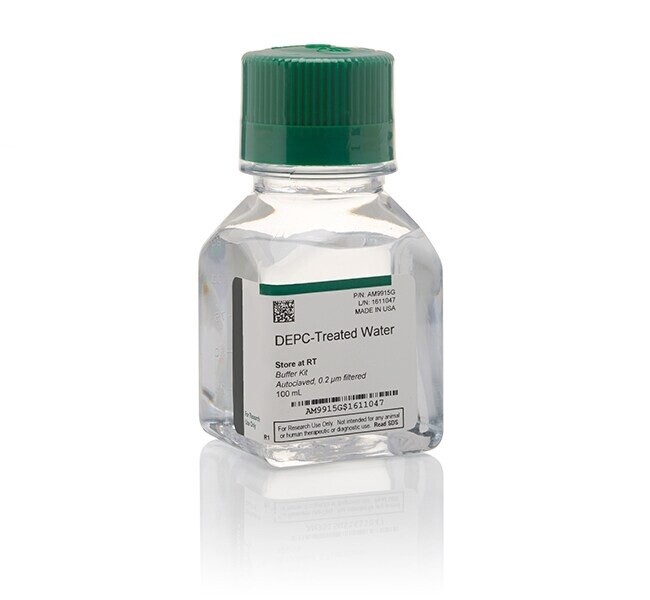 DEPC-Treated Water - 1,000ml - AM9922