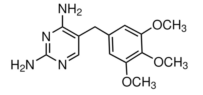 Trimethoprim - 25G - T7883-25G