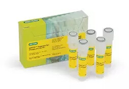 ddPCR Supermix for Probes (No dUTP), 5ml, 5 x 1ml) 2x supermix - 1863024