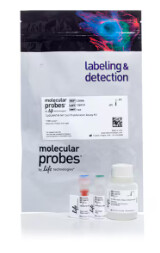CyQUANT™ NF Cell Proliferation Assay - 1,000 assays - C35006