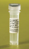 Pierce™ Universal Nuclease for Cell Lysis - 5ku - 88700