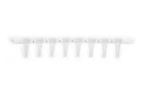 0.2 ml 8-Tube PCR Strips without Caps- low profile- clear