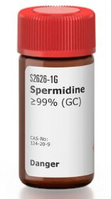 Spermidine - 1g - S2626-1G