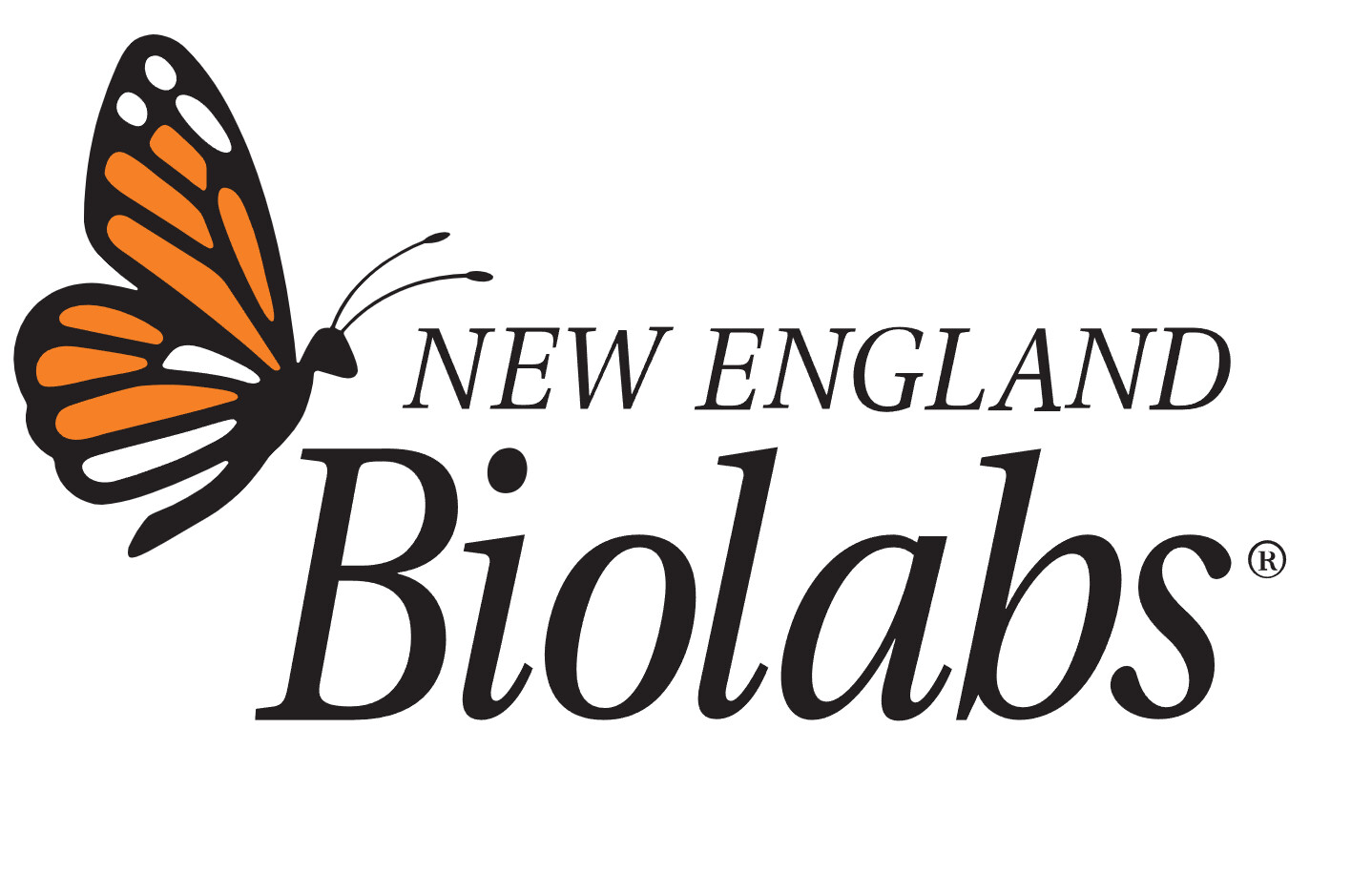 Q5® High-Fidelity DNA Polymerase