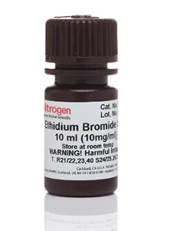 UltraPure™ Ethidium Bromide, 10 mg/mL